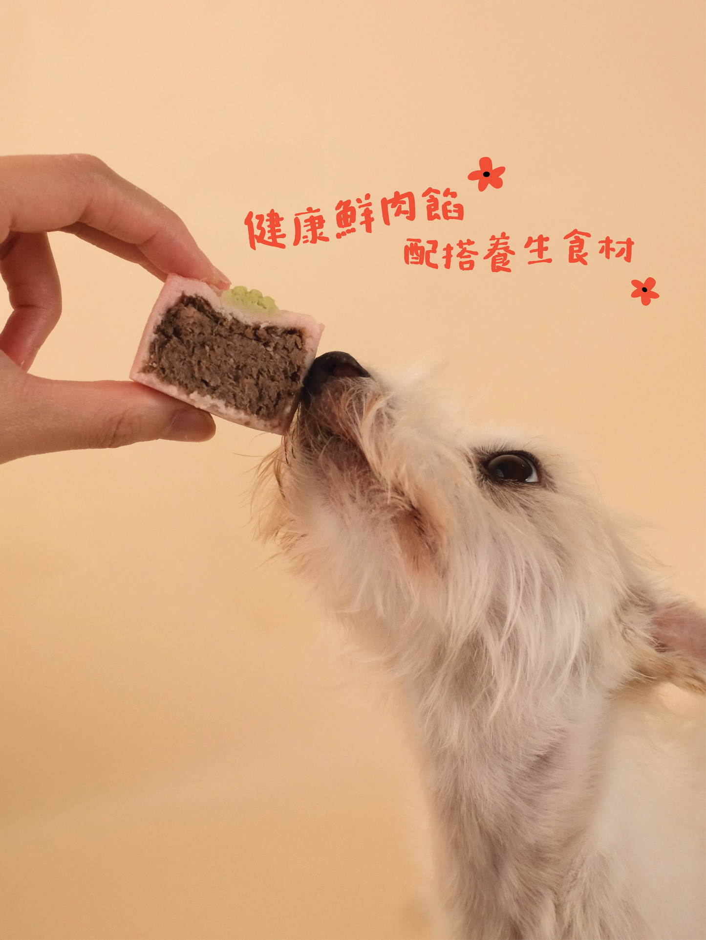 🌸 2026 寵物月餅禮盒 Pet Mooncake Gift Box