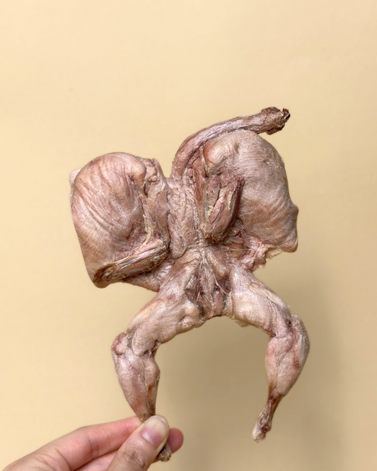 Freeze-dried Whole French Quail (skin off) 凍乾原隻法國鵪鶉(去皮)