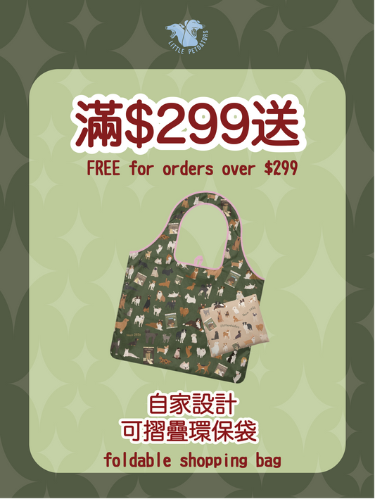 自家設計可摺疊環保袋 Foldable shopping bag