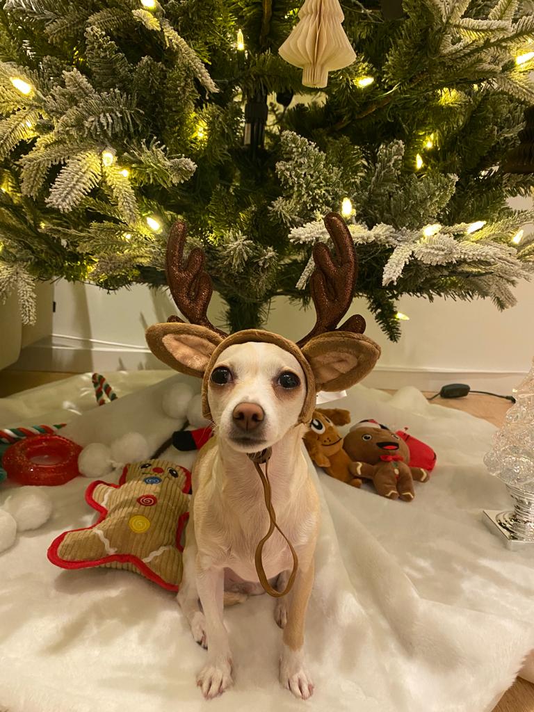 Deer headband 聖誕鹿角頭飾