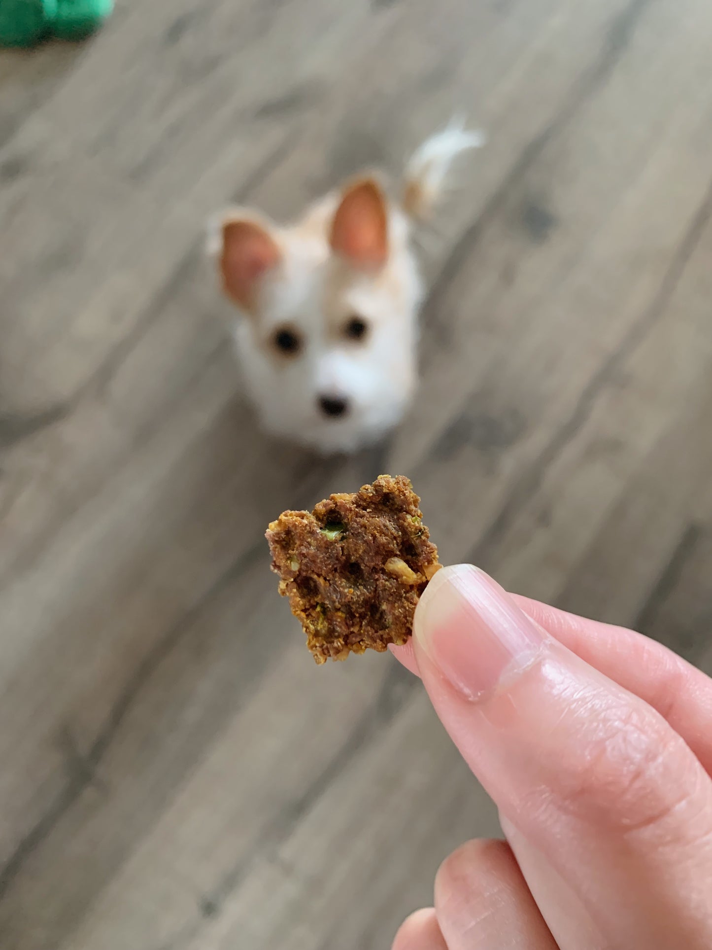 Venison Vitamin Crackers 鹿肉營養餅