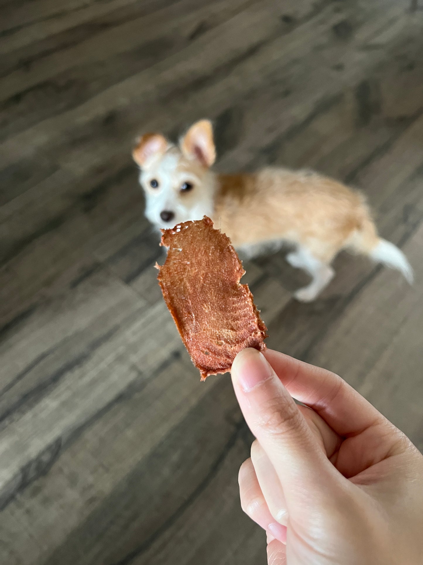 Tuna Chips 吞拿魚脆片