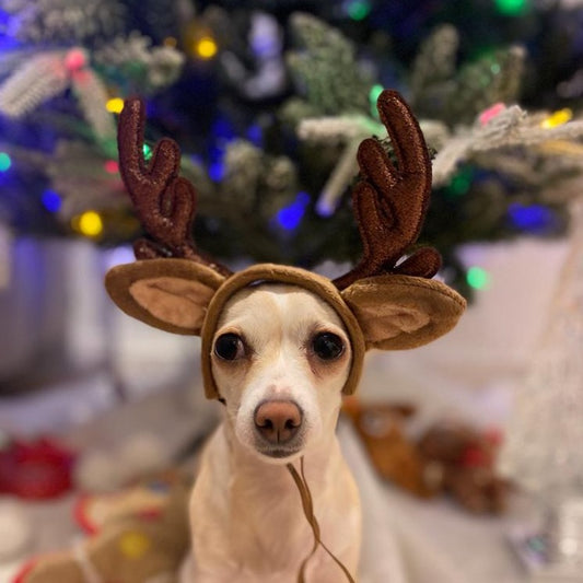 Deer headband 聖誕鹿角頭飾